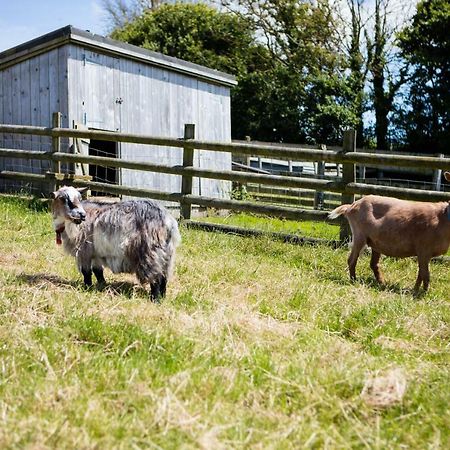 Sharlands Farm Holiday Cottages Bude Εξωτερικό φωτογραφία