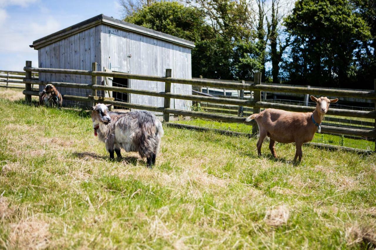 Sharlands Farm Holiday Cottages Bude Εξωτερικό φωτογραφία